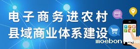 电子商务进农村