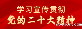 学习宣传贯彻党的二十大精神